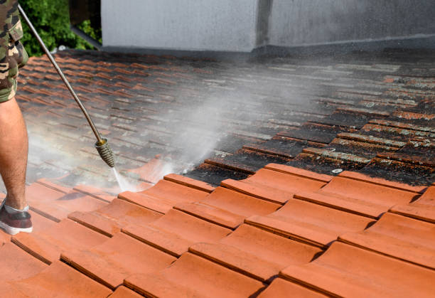 Best Affordable Power Washing  in Roaring Spring, PA