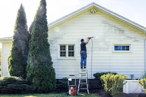 Best Residential Pressure Washing Services  in Roaring Spring, PA